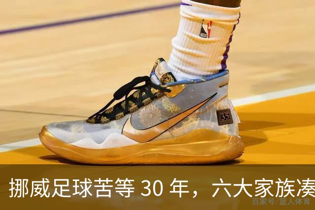 挪威足球苦等 30 年，六大家族凑世界杯主力，老国脚有啥绝招？